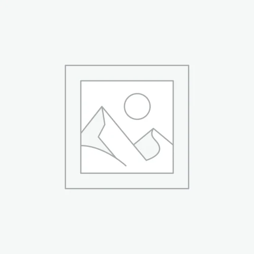 Module 2: Why You Must Make a Money Paradigm Shift